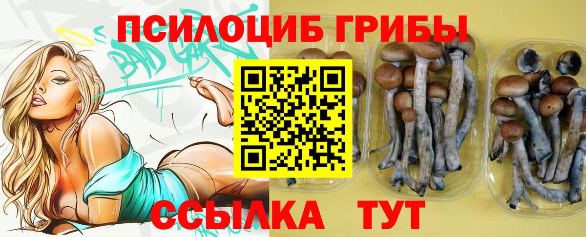 Псилоцибиновые грибы MAGIC MUSHROOMS  Вход с VPN  Симферополь 